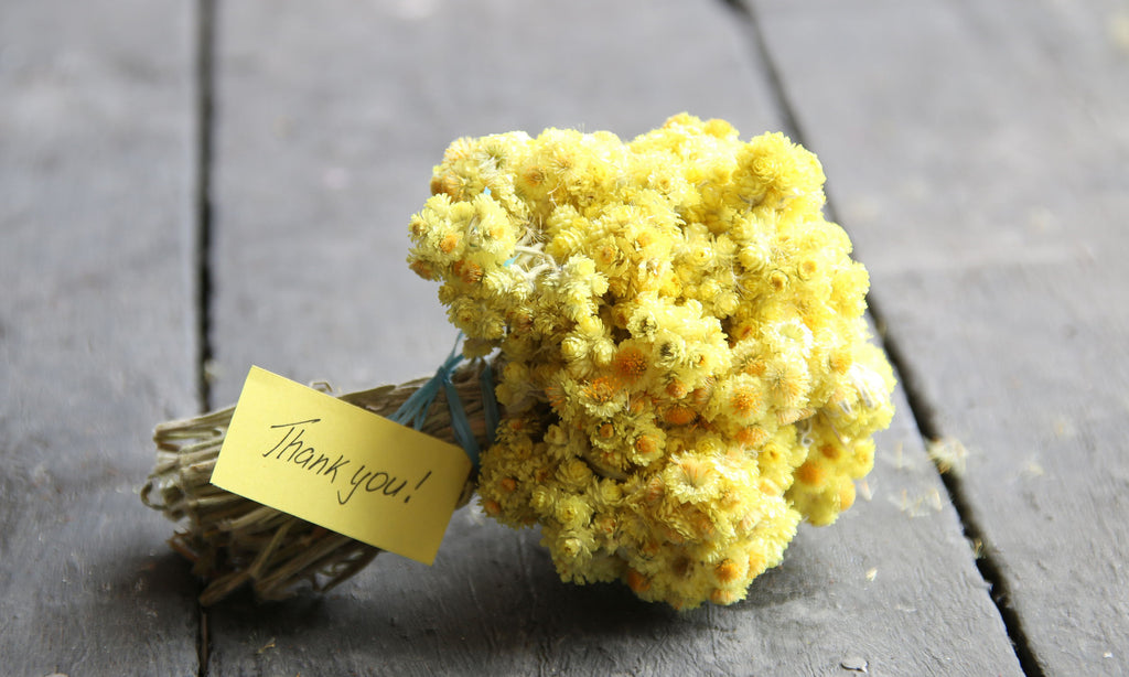 The Surprising Impact of Saying “Thank You”