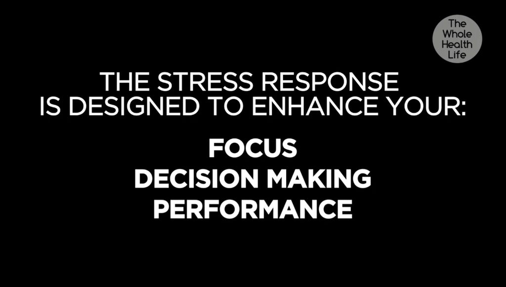 The Stress Mindset Reset
